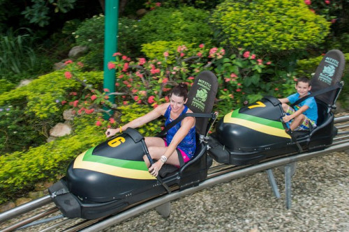 Dunn's River Falls And Mystic Mountain Bobsled Tour