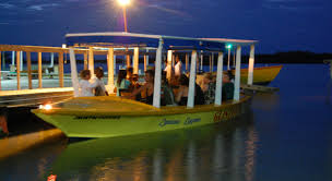 Luminous Lagoon Tour