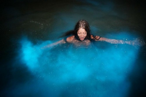 Luminous Lagoon Tour
