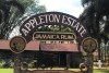 Explore the natural wonders of Jamaica’s South Coast on this amazing trip to the beautiful YS Falls and the historic Appleton Estate.