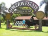 Black River Safari,Y.S Falls And Appleton Rum Tour