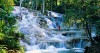 Dunn's River Falls And Mystic Mountain Bobsled Tour