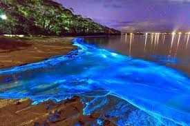 Luminous Lagoon Tour
