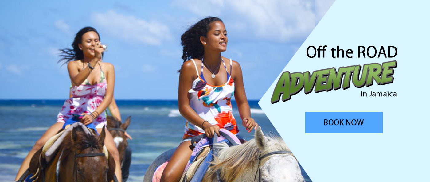Jamaica Tours and Excursions